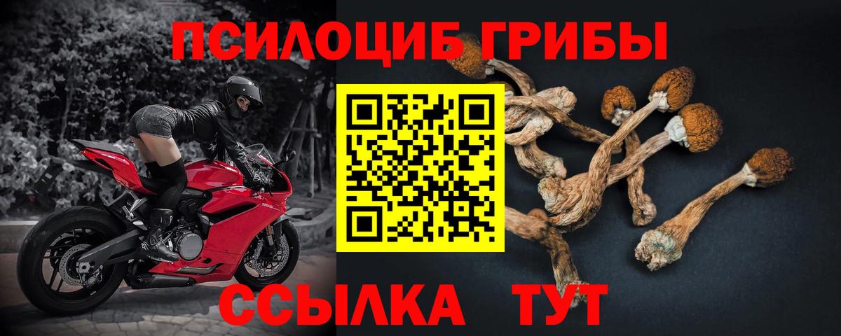 Галлюциногенные грибы мухоморы Прокопьевск